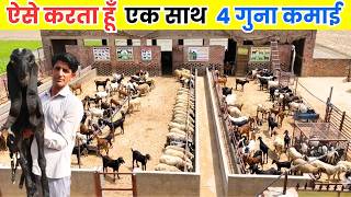 बकरी पालन और भेड़ पालन से मोटी कमाई  II Goat Farming II Goat Farming  II  Goat  Farming Business