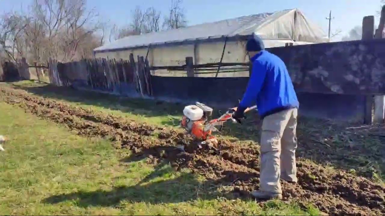 Începem pregătirea terenului pentru o viitoare plantație de zmeură. 🌱🍇