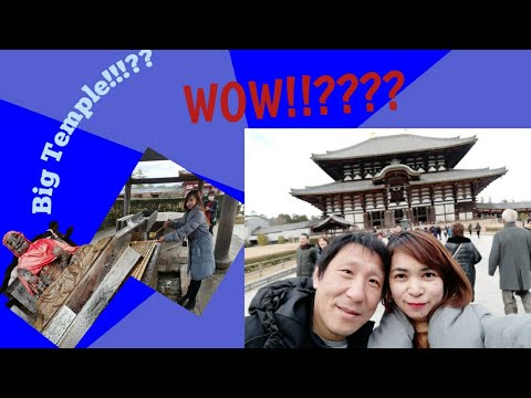 Video: Todai-ji Templis: Daži Interesanti Fakti