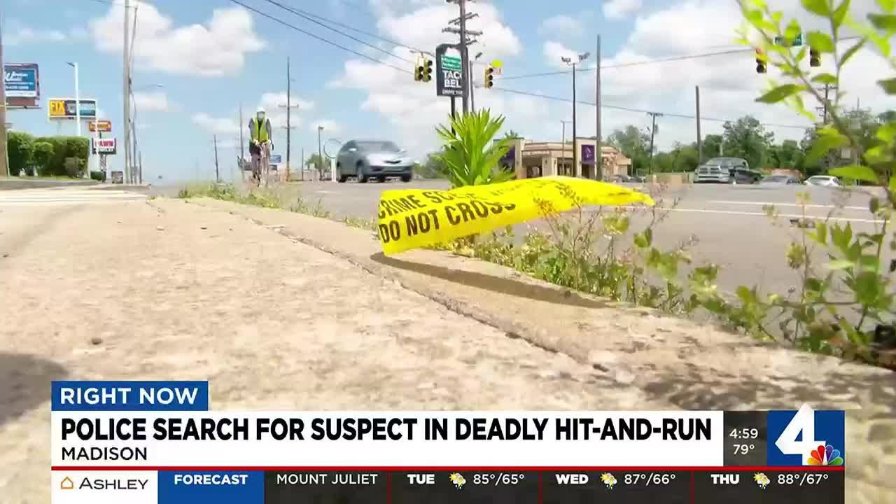 Police search for suspect in deadly hit-and-run - YouTube