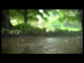 மழையே ஓ மழையே | mazhaiye oh mazhaiye | rain WhatsApp status video Tamil | rain  video tamil | மழை