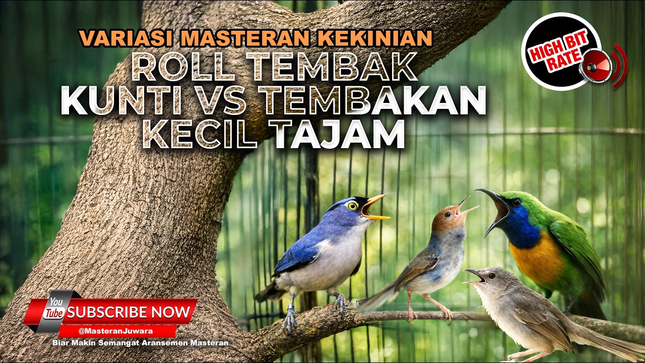 🔴 Live Masteran Terbaik Murai Batu 2026 Cucak Cungkok Gacor Kenari Sejalur Nembak RPM Gacor Prenjak