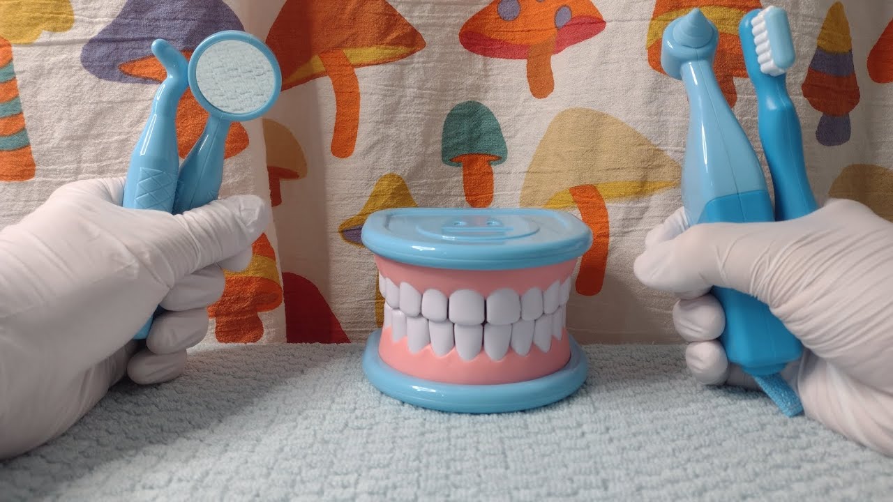 ASMR Dentist 