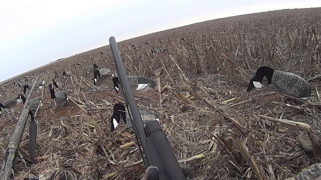 Central Oklahoma Duck Hunt 12-31-14 