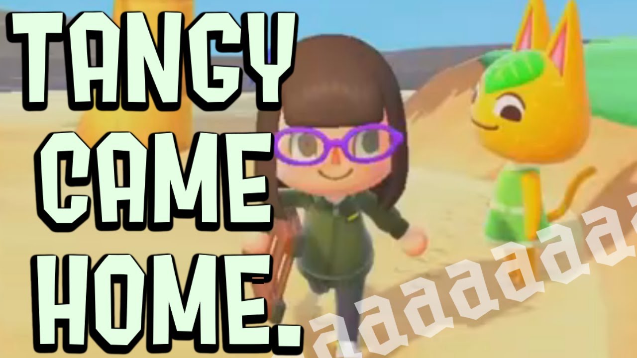 TANGY CAME HOME Animal Crossing New Horizons] YouTube