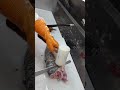 Carp clean and cut 2