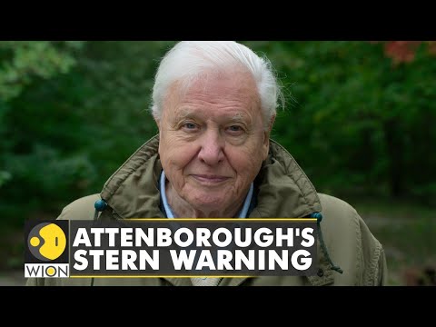 'The stability we all depend upon is breaking,' says British naturalist David Attenborough | COP26