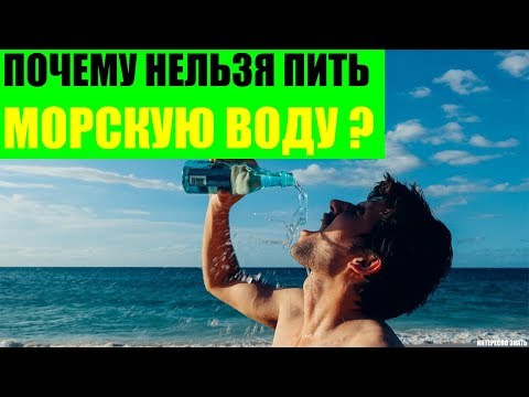 Почему нельзя пить морскую воду?