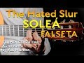 The Hated Slur Soleá Falseta - Flamenco Guitar Performance by Kai Narezo