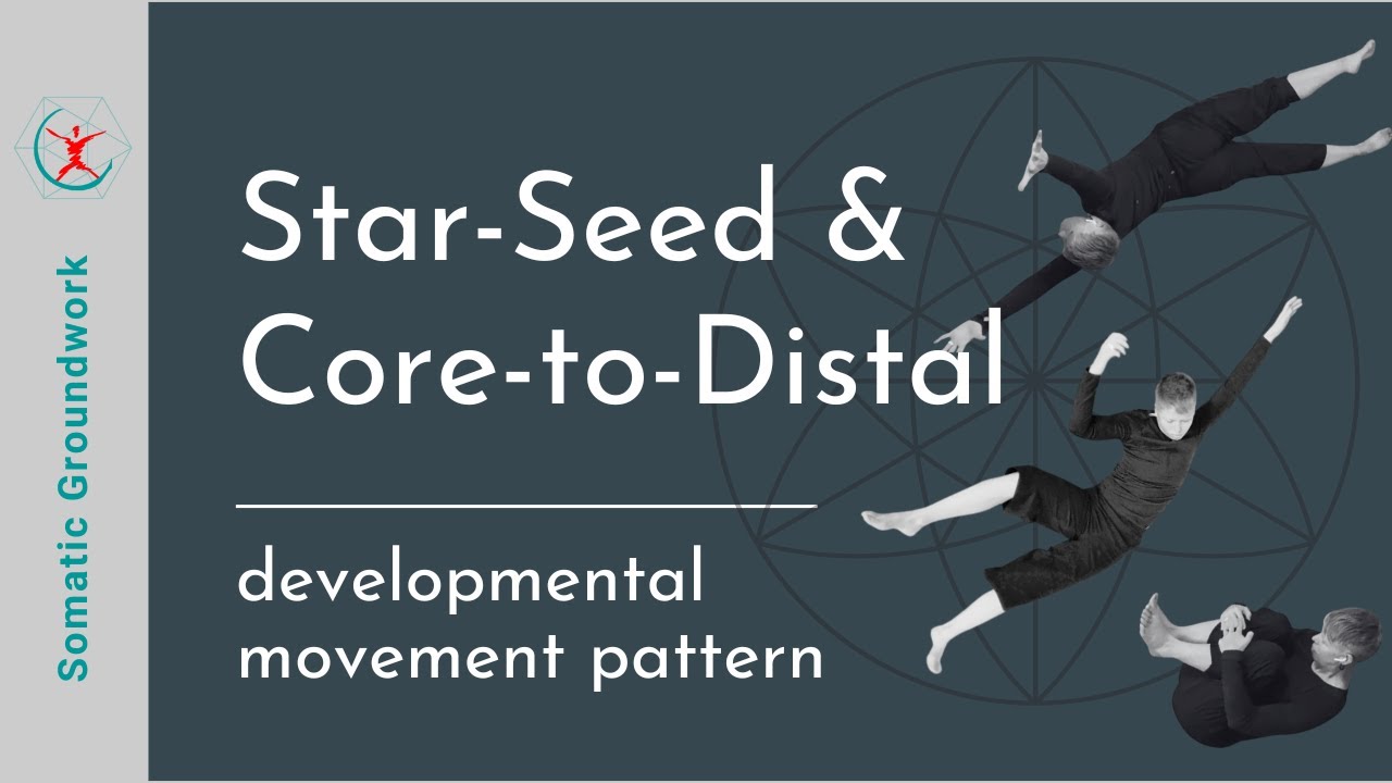 Star-Seed & Core-to-Distal | developmental movement pattern - YouTube