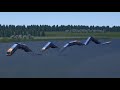水蛇のような【電車】が踏切を通過する2つの平行な橋 Train Simulator