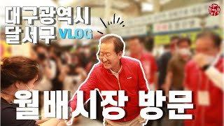 홍준표 대구광역시장 후보 월배 시장 방문!