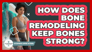 How Does Bone Remodeling Keep Bones Strong?