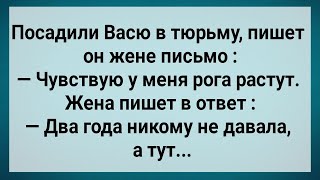 видео: Как Васю в Тюрьму Посадили! Сборник Свежих Анекдотов! Юмор!. картинка: Как Васю в Тюрьму Посадили! Сборник Свежих Анекдотов! Юмор!.