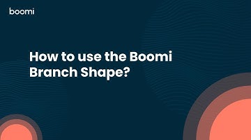 How to use the Boomi Branch Shape?