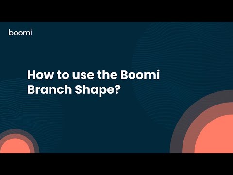 How to use the Boomi Branch Shape?