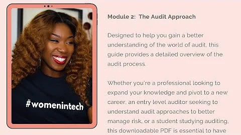 IT AUDIT - The Audit Process