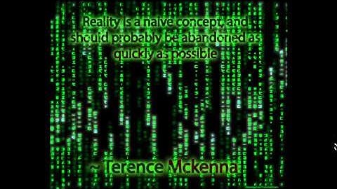 Hacking Reality (Terence Mckenna)