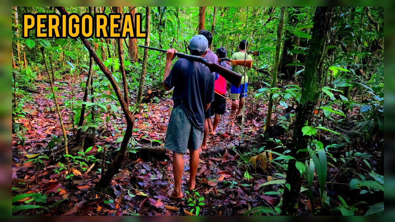 Silêncio e Espera: Um Dia de Caça na Mata Fechada