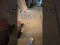 tiktokで150万再生された動画 #ドッキリ
