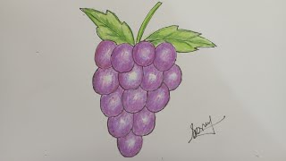 How to draw Grapes easy step by step //আঙ্গুর ফল আকা শিখুন সহজে |🍇🍇