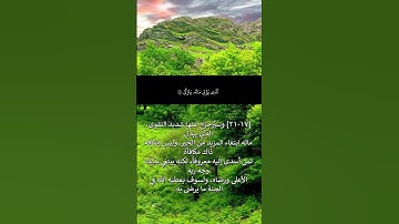 سورة الليل الشيخ سعد الغامدي ج2