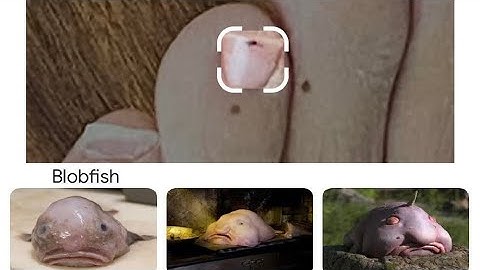 Google Lens Misidentifying Things