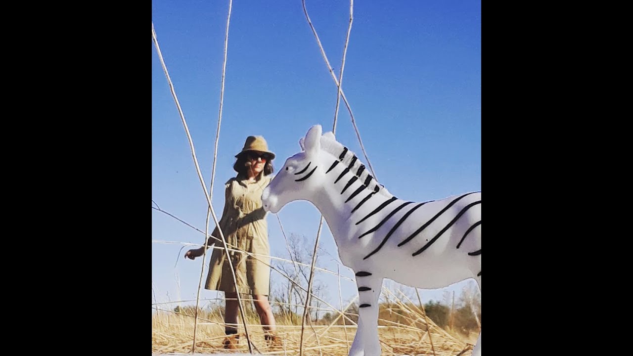 Miss Abbott's Animal Adventures: Grassland Safari