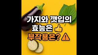 가지·깻잎 효능과 부작용 총정리｜혈압, 관절, 항산화, 피해야 할 경우까지!