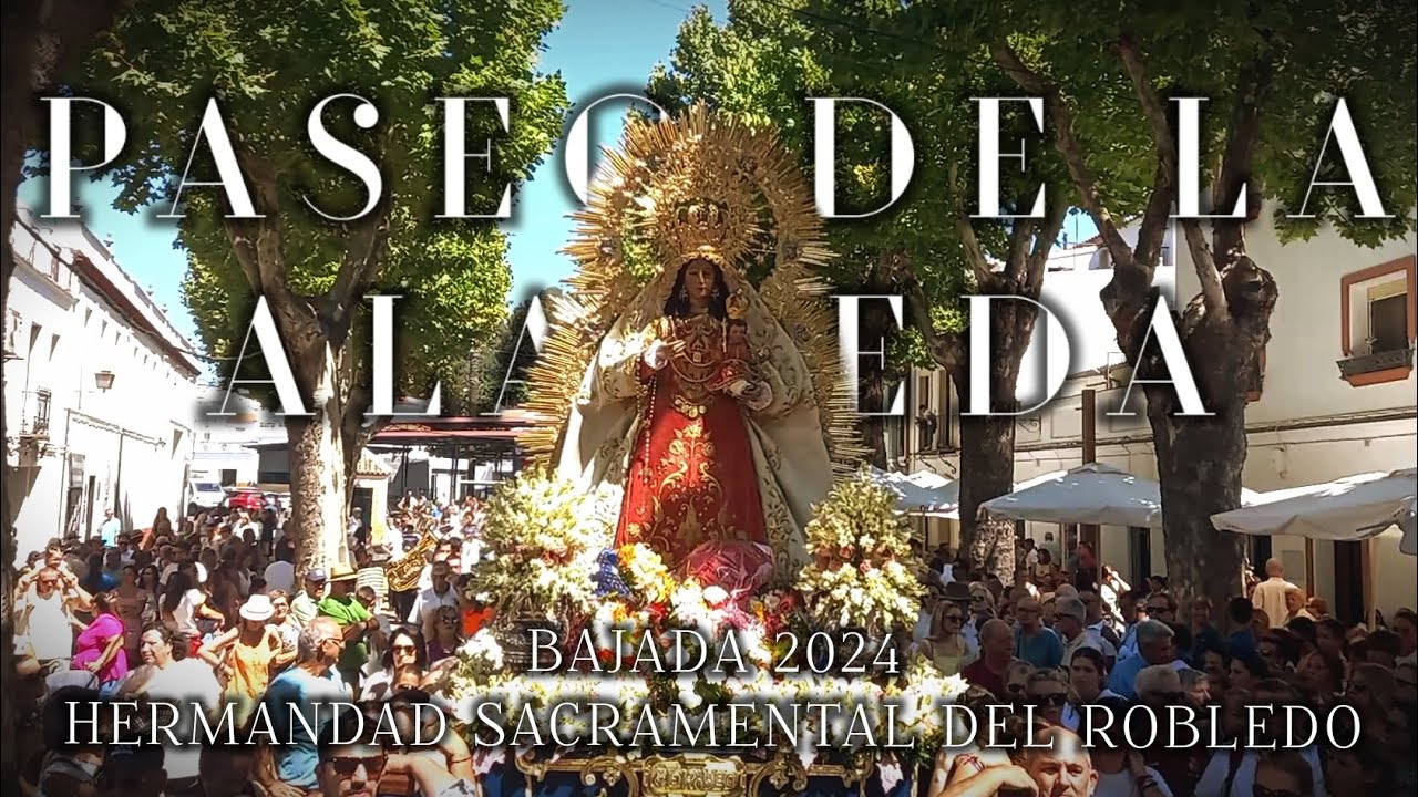 #Robledo24 | BAJADA | Paseo de la Alameda | BM Municipal de Mairena del Alcor