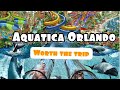 Aquatica Orlando Review Great family vacation | #aquatica #aquaticaorlando