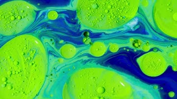 Alan Watts - Limits of Language