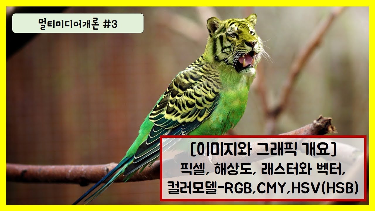 멀티미디어개론 #3 - 이미지와 그래픽 개요 (픽셀, 해상도, 래스터와 벡터, 컬러모델-RGB, CMY, HSV)