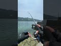 投げて巻くだけで割と簡単に釣れるルアーフィッシング❗️