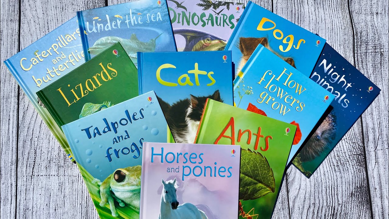 Usborne Beginners Independent Readers