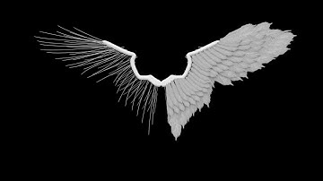 Dead City AOD | Fragmovie by Kappa