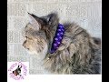 How to make a paracord cat collar - stitched Solomon's dragon