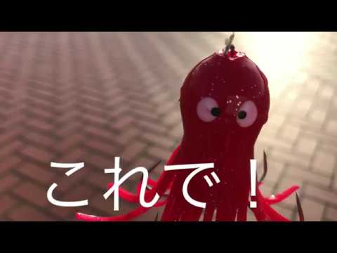 Fishingmax 泉大津店 6 9 なぎさ公園でタコが来た Youtube