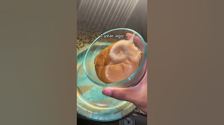 McDonald’s Cheeseburger Left in a Mailbox for 1 Year! 🤯 #shorts