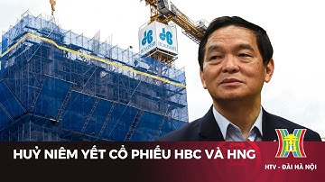 Huỷ niêm yết cổ phiếu 2 mã chứng khoán HBC và HNG | Tin tức
