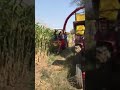 Maize Harvester  Forage Harvester