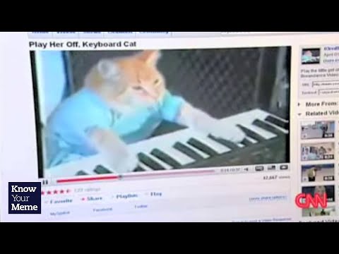 know-your-meme:-keyboard-cat