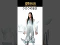 聖闘士聖矢 -LEGEND of SAINTS- #43 クロウの聖衣/Saint Legend -LEGEND of SAINTS- #43Crow Cloth