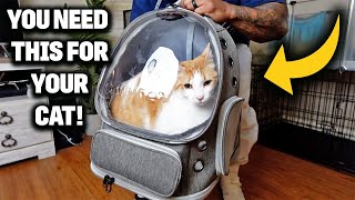 Cawpety Cat Backpack Carrier Review | Best Carriers For Cats 2025