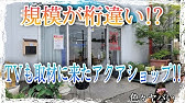 実況 何回来ても品揃えにビックリさせられるパウパウアクアガーデン新宿店ｗ Youtube