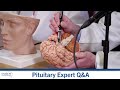 Where is the pituitary gland located? What does it do?