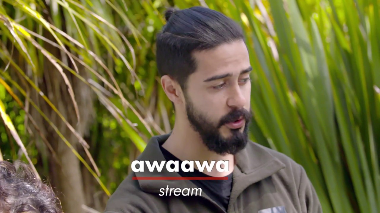 Te Whaihanga Series (Part 2) - On the Mana Whenua Site