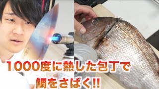 1000℃に熱した包丁で鯛さばいた結果・・・