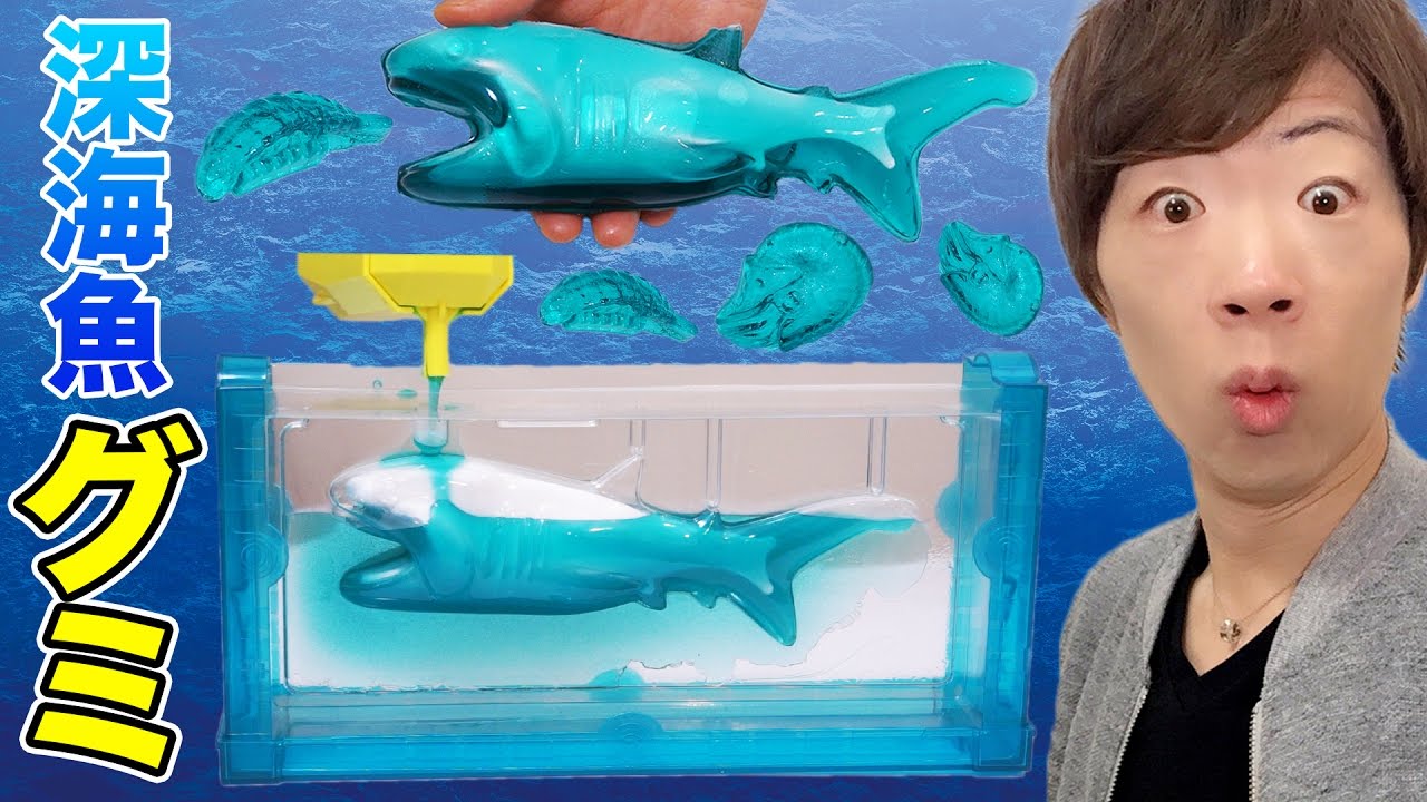 巨大深海魚グミ作ってみた！メガマウスザメ・ダイオウグソクムシ・オウムガイ