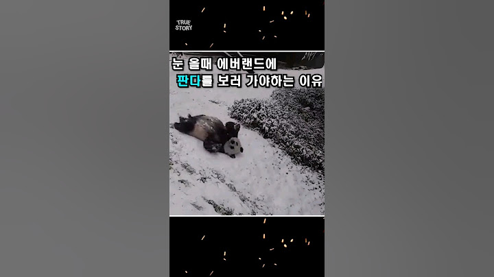 눈 올 때 판다 보러 가야 하는 이유 #shorts